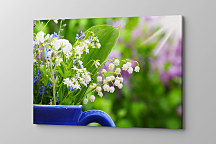 Obraz Konvalinky 1570